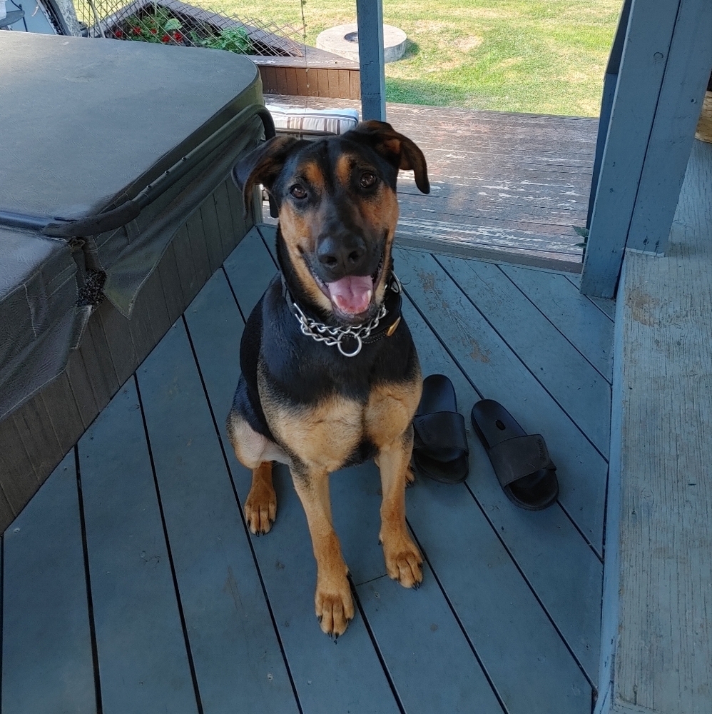 Meet your Posher, Nicole